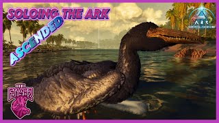 Taming Pelagornis Soloing ARK Ascended Ep 112 [upl. by Anyrb]