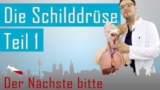 Der DocPod  Schilddrüse 1  Besuch in der Anatomie [upl. by Ij]