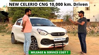 NEW CELERIO CNG 2022 AFTER DRIVING 10000 Km  DETAILED OWNER EXPERIENCE [upl. by Gibby]