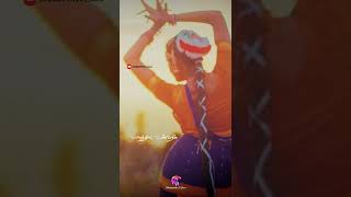 Salangai Ittal Oru Madhu  80s hits  T Rajender  sp balasubrahmanyam [upl. by Gretta]