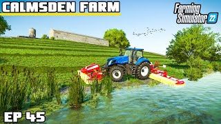 A BEAUTIFUL DAY ON THE RIVER BANK  Calmsden Farm  Farming Simulator 22  Episode 45 [upl. by Yllitnahc127]