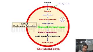 Drugs acting on anti tubercular agents PharmacologyIII UnitIII [upl. by Cigam]