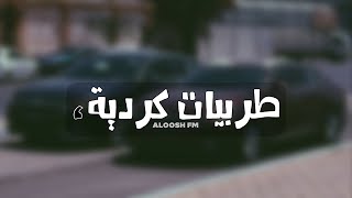 اغاني كرديه هجوله 2019  جديد وحصري [upl. by Fahy483]