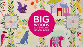 Big Woods Block of the Month Month Four [upl. by Umeko]