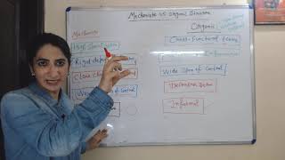 Mechanistic VS Organic Orgnizational Structure [upl. by Mitinger]