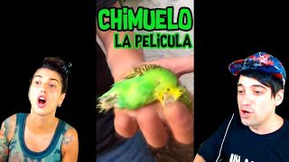 CHIMUELO [upl. by Thrift]