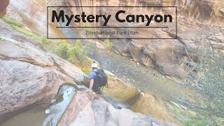 Mystery Canyon  Zion National Park [upl. by Atinrehs]