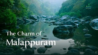 The Best Things to Do in Malappuram  Kerala Tourism DreamDestinations [upl. by Junji]