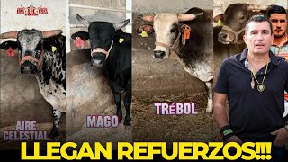 Llegan nuevos refuerzos a Juliantla Guerrero 🐮🇲🇽 [upl. by Nrehtac]