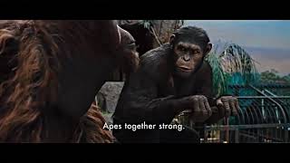 quotApes together strongquot  Rise Of The Planet Of The Apes movie scene [upl. by Rosinski]