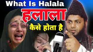 What Is Halala What Is Halala In Islam Halala Kiya Hai Halala Kaise Hota Hai Halala Ka Bayan [upl. by Diogenes406]