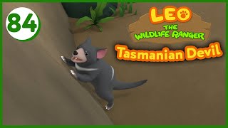 The Tasmanian Devil  Leo The Wildlife Ranger Episode 84 [upl. by Irmine]