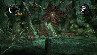 Batman Arkham Asylum  Walkthrough Part 15  A Battle Against Poison Ivy [upl. by Dor]