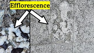 What is Efflorescence on brick or concrete surface [upl. by Jacynth928]