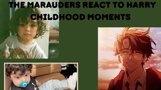 The Marauders’ Reaction Harry’s Childhood Moments  Harry Potter text story [upl. by Fransisco]