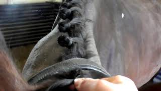 How To Plait Your Horses Forelock  With Horsemart amp Hesteyri Horses [upl. by Rabi844]