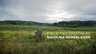 Field Recording at Nachusa Grasslands [upl. by Ruyle154]