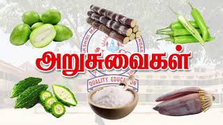 CLASS 1 Tamil Activities [upl. by Dawson]