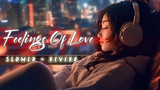 Fellings Of Love 🪷 Slowed amp Reverb ❤️ Arijit Sing Love Mashup 😍 Heart Touching Songs [upl. by Peggy]