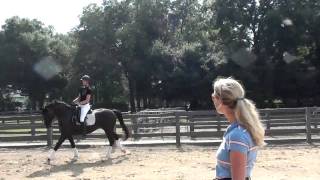 Iris Eppinger dressage clinic [upl. by Siseneg]