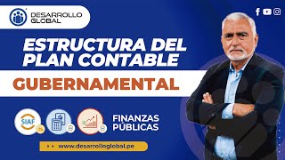 ESTRUCTURA DEL PLAN CONTABLE GUBERNAMENTAL [upl. by Anwahsit]