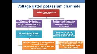 POTASSIUM CHANNELS [upl. by Ezra]