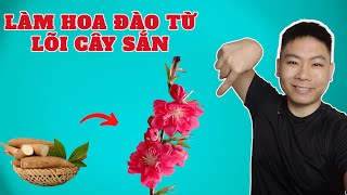 làm hoa đào từ lõi cây sắn  NGHIÊM XUÂN CÔNG tiktok shorts [upl. by Anidal]