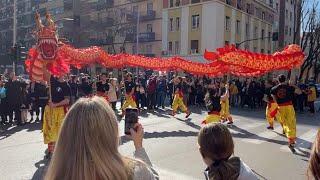 Capodanno CINESE Roma 2024 l’anno del DRAGO 🐉 [upl. by Nnil]