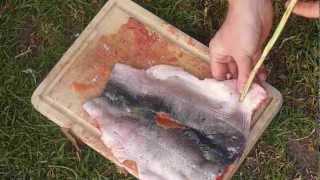 Primitive Skills Ponassing  Fillet and Cook a trout the Indigenous way [upl. by Saffren]