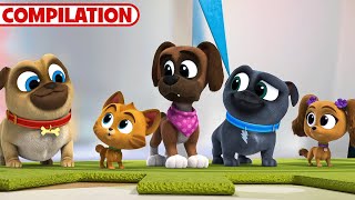 Best of Puppy Dog Pals Season 5  51 Minutes  Compilation  Disney Junior [upl. by Adieren904]