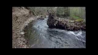 Truite au leurre à lultraléger partie 2  Gopro HD [upl. by Murage]