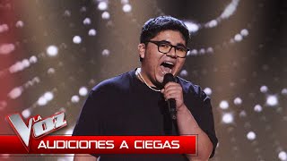 Alan Brizuela canta quotA song for youquot  Audiciones a Ciegas  La Voz Antena 3 2024 [upl. by Prunella]