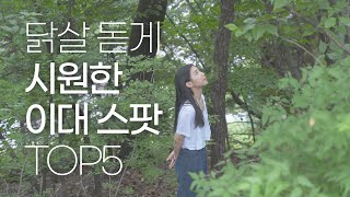 닭살 돋게 시원한 이대 스팟 TOP5 [upl. by Biondo]