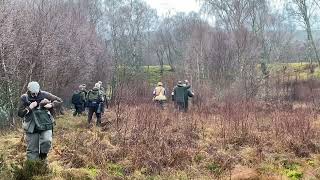 Spaniel championship 2023 Dave Templars Second run with FTCH Sedgewood Poppy Of countryways [upl. by Adlee337]