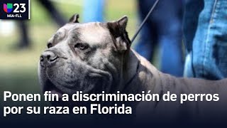 Aprueban una nueva ley en Florida para evitar la discriminación de perros por su raza [upl. by Charmane745]