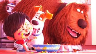 Secret Life of Pets 2 Full Movie  Secret Life of Pets  Dog  Pets  Miss Recap [upl. by Noeruat742]