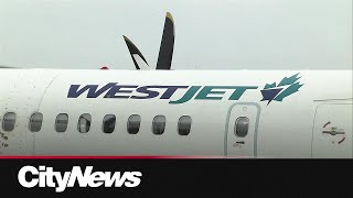 WestJet making progress on repairing planes damaged in Calgary hailstorm [upl. by Elena124]