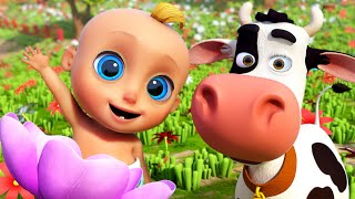 🐮La Vaca Lola 🐄  Conejitos dormilones 🐰💤 Canciones Infantiles para niños [upl. by Eltsirc430]