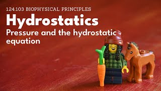 Hydrostatics  pressure and the hydrostatic equation [upl. by Midis]