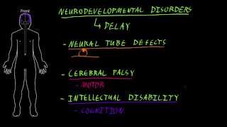 Neurodevelopmental disorders [upl. by Idram122]