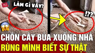 Bí ẩn sự việc người thợ xây CHÔN CÂY BÚA xuống nền nhà khiến ai nghe cũng RÙNG MÌNH  Động Tiin [upl. by Frodine365]