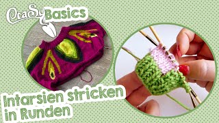 Intarsien in Runden stricken  CraSy Basics [upl. by Orecic390]