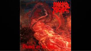 Morbid Angel  Abominations [upl. by Ettelra]