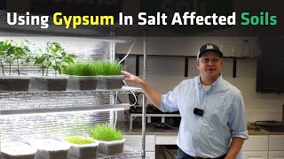 Gypsum The Secret to Explosive Plant Growth in High Sodium Soil [upl. by Haywood898]