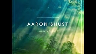 Aaron Shust The One Lyric Video [upl. by Zack]