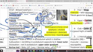 PEDIATRIC ORTHOPEDICS DDH  CLUBFOOT  BRACHIAL PALSY  ORTHOPEDICS  5TH Y [upl. by Ardekal]