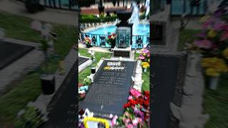 Doing What at Elvis’s Grave 😂 joerogan theovon elvis elvispresley joeroganexperience movie [upl. by Gustafson]