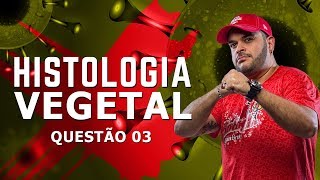 REVISANDO ESTRUTURAS ANEXAS OU DERIVADAS DOS TECIDOS VEGETAIS  questão 3  lista Histologia Vegetal [upl. by Nilkcaj]