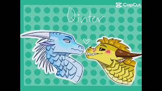 Qibli x Winter💛🩵the Best ship qinter qibli winter wingsoffire tuitsutherland [upl. by Friedland]