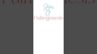 Stages Of Pathogenesis 🦠pathology pathogenesis nursingstudent biology medical hospital [upl. by Ognimod]